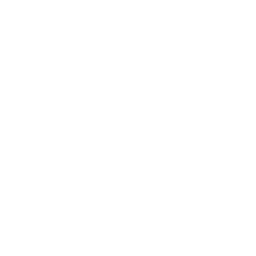 amphibious