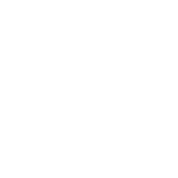sport atv