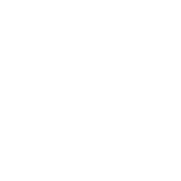 cruiser motorcycle